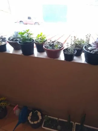Imagem Vendo Sobrado em Santo André, Jardim Rina