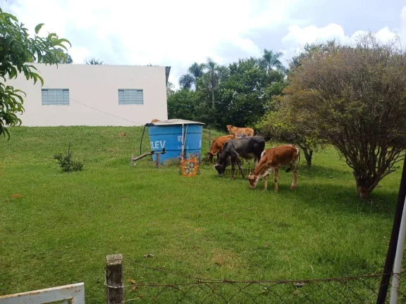 Imagem Chácara com 4 dormitórios à venda, 18393 m² por R$ 800.000,00 - Pedra Bela - Pedra Bela/SP