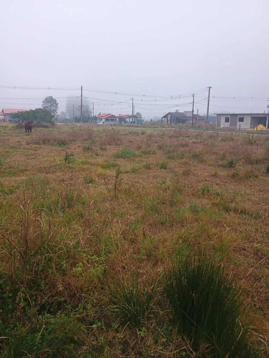 Imagem Terreno à venda em Torres, Vila São João, 360m2