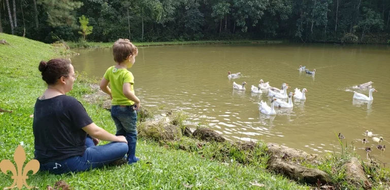 Imagem SITIO RESIDENCIAL em SANTO AMARO DA IMPERATRIZ - SC, Santo Amaro