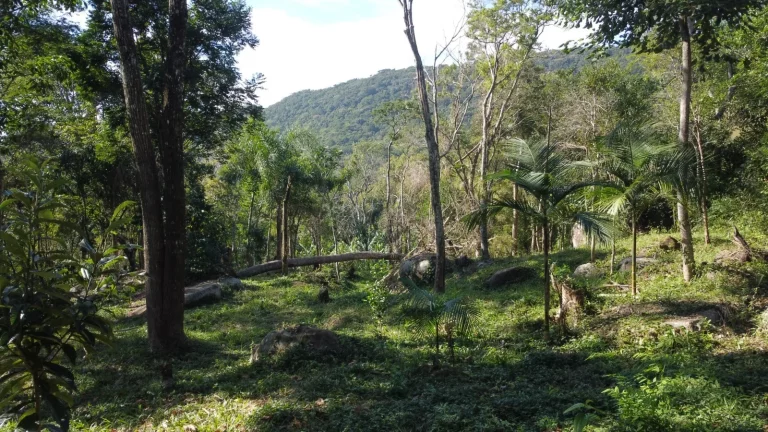 Imagem Terreno Espaçoso em Macacu, Garopaba-SC: 20 mil m², Vista para Lagoa e Mar