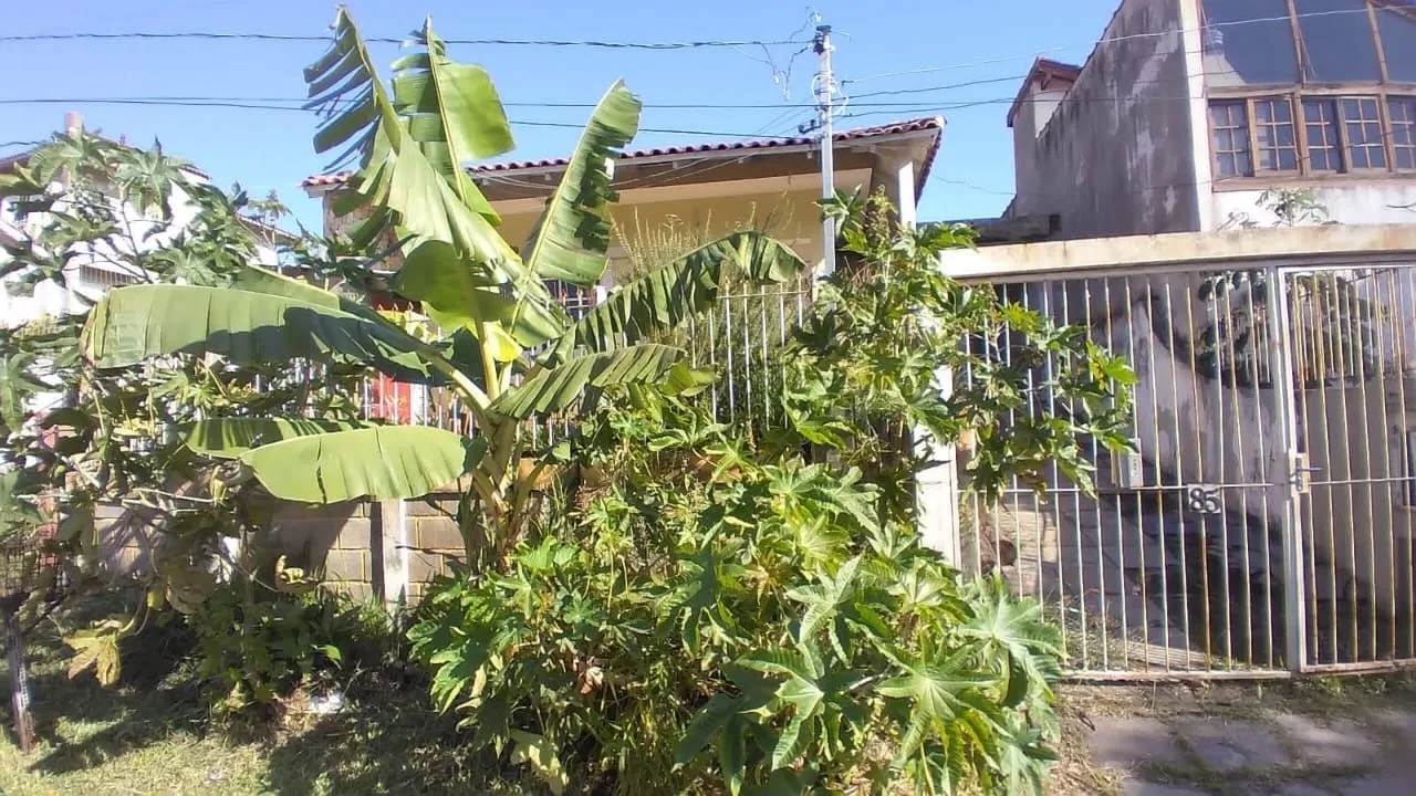 Imagem Casa no Bairro Ipanema - 2 Dormitórios
