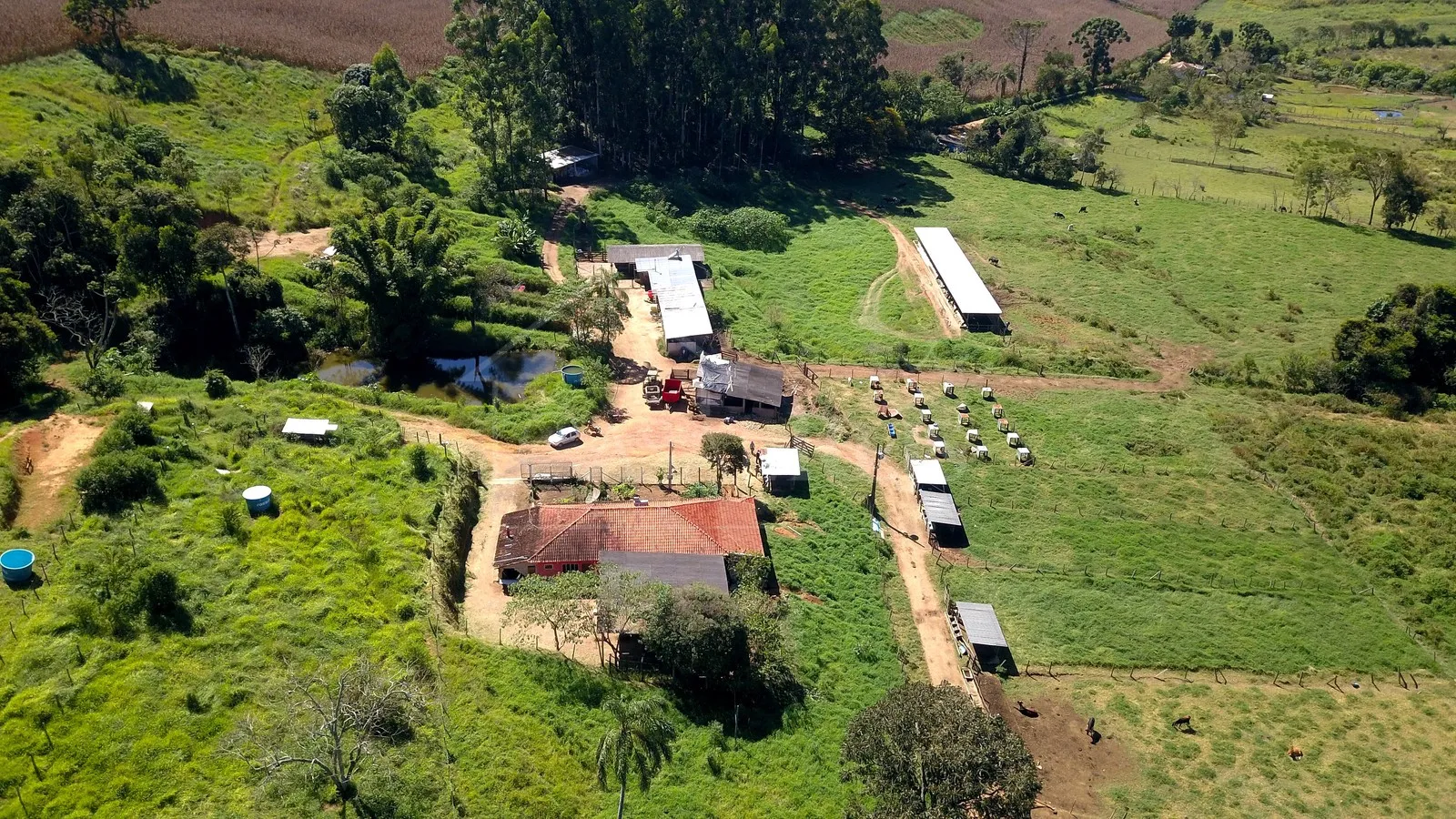 Imagem Sítio 24,2 ha à venda em Área Rural, Caldas