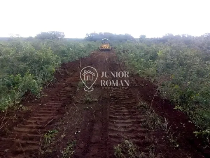 Imagem FAZENDA - 91,5 HECTARES - CRISTOPOLIS/BA