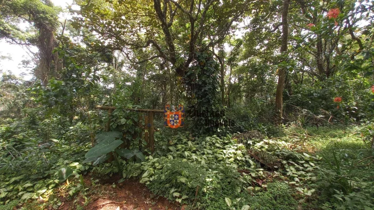 Imagem Terreno à venda, 3701 m² por R$ 300.000,00 - Est Santa Maria do Portão - Atibaia/SP