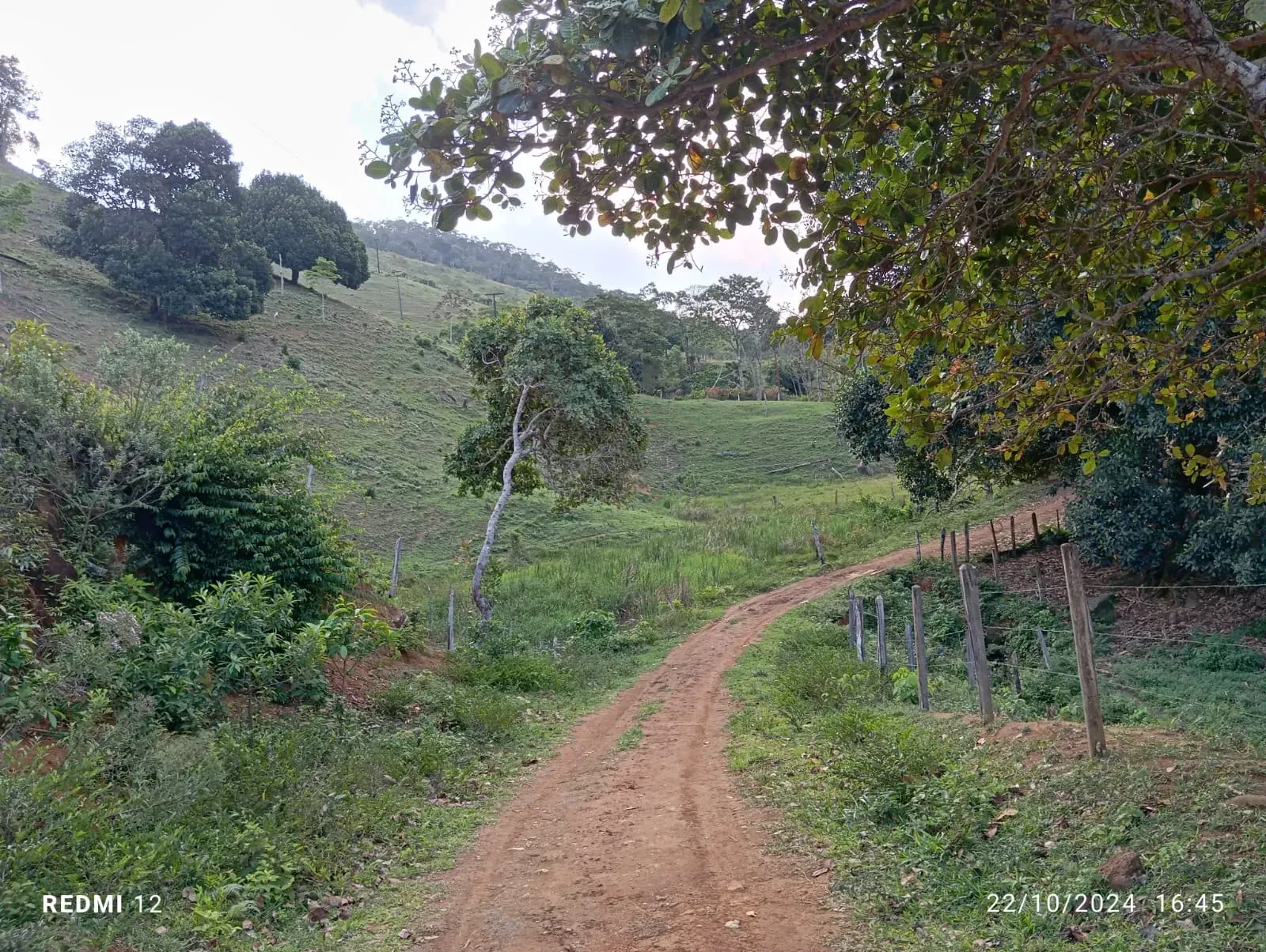 Imagem Fazenda à Venda, 300.000 m² em Ibirataia - Ibirataia