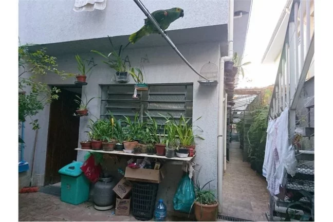 Imagem VML 721 Casa 601971007-130