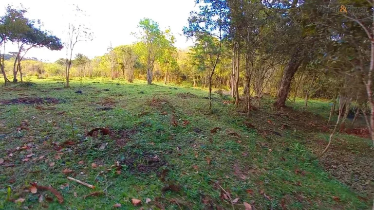 Imagem Chácara para Venda em Tijucas do Sul, Ambrósio
