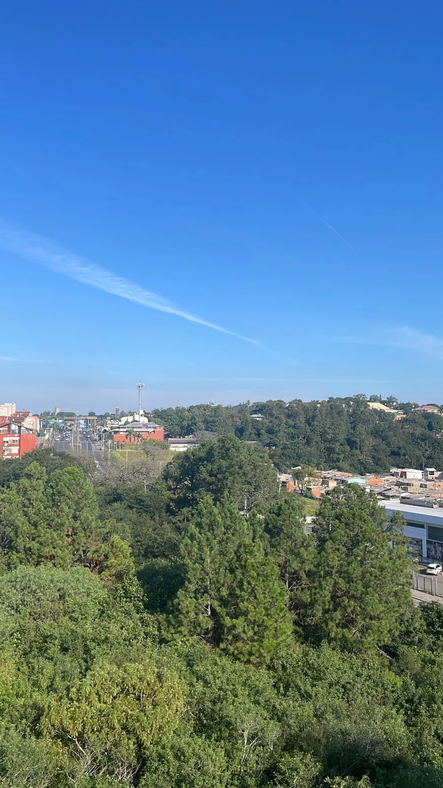 Imagem Apartamento à venda no Condomínio Forest Park | 3 Dormitórios com Suíte e Vista Livre