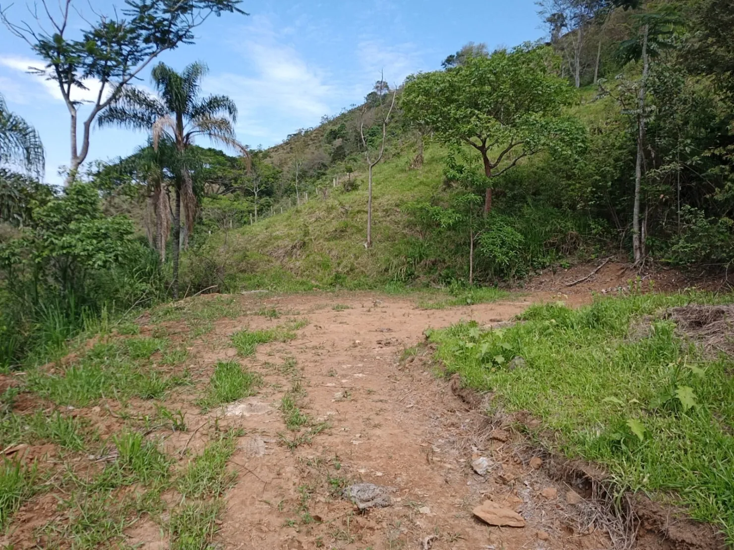 Imagem Sítio com 9 Alqueires em Ribeirão Grande com Abundância de Água