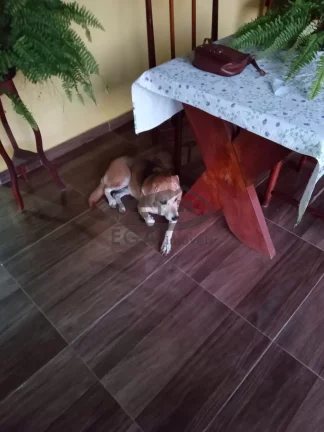 Imagem Casa na Praia de Boiçucanga