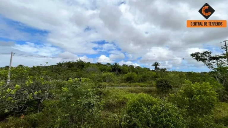 Imagem TERRENO VIA PARAFUSO - BA 535