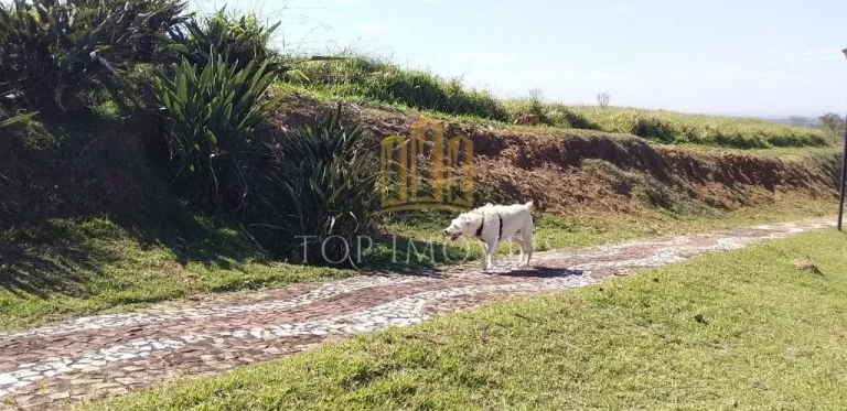 Imagem Ótimo terreno no Condomínio Espelho D’Água na quadra Quadra I, com 1.318,77 m2 (35,06 x 37,62), em localização privilegiada em uma das partes mais altas do condomínio!