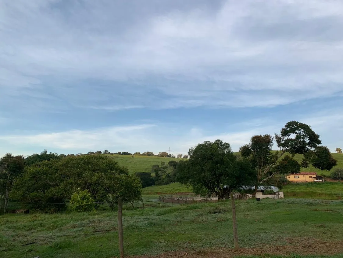 Imagem Vendo uma magnífica fazenda em Santo Antônio do Amparo/MG 318 hectares