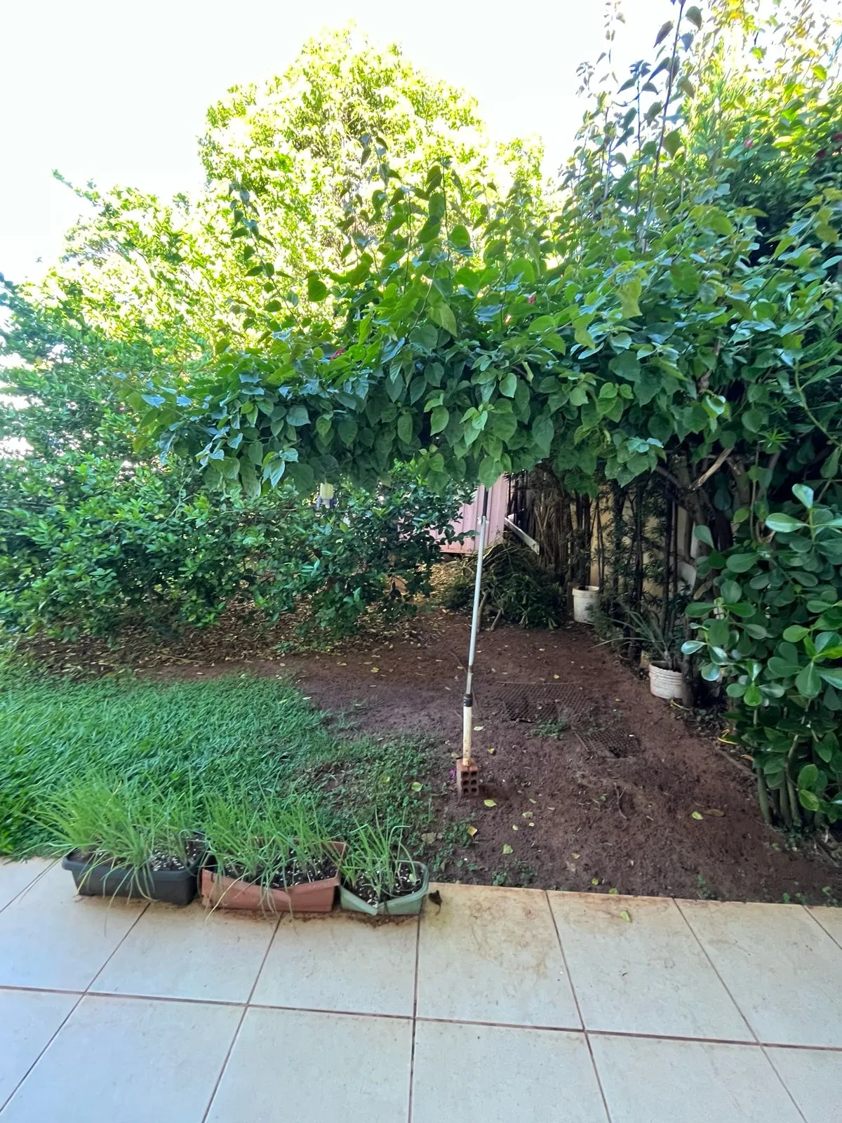 Imagem Casa 306m Umuarama-PR 409