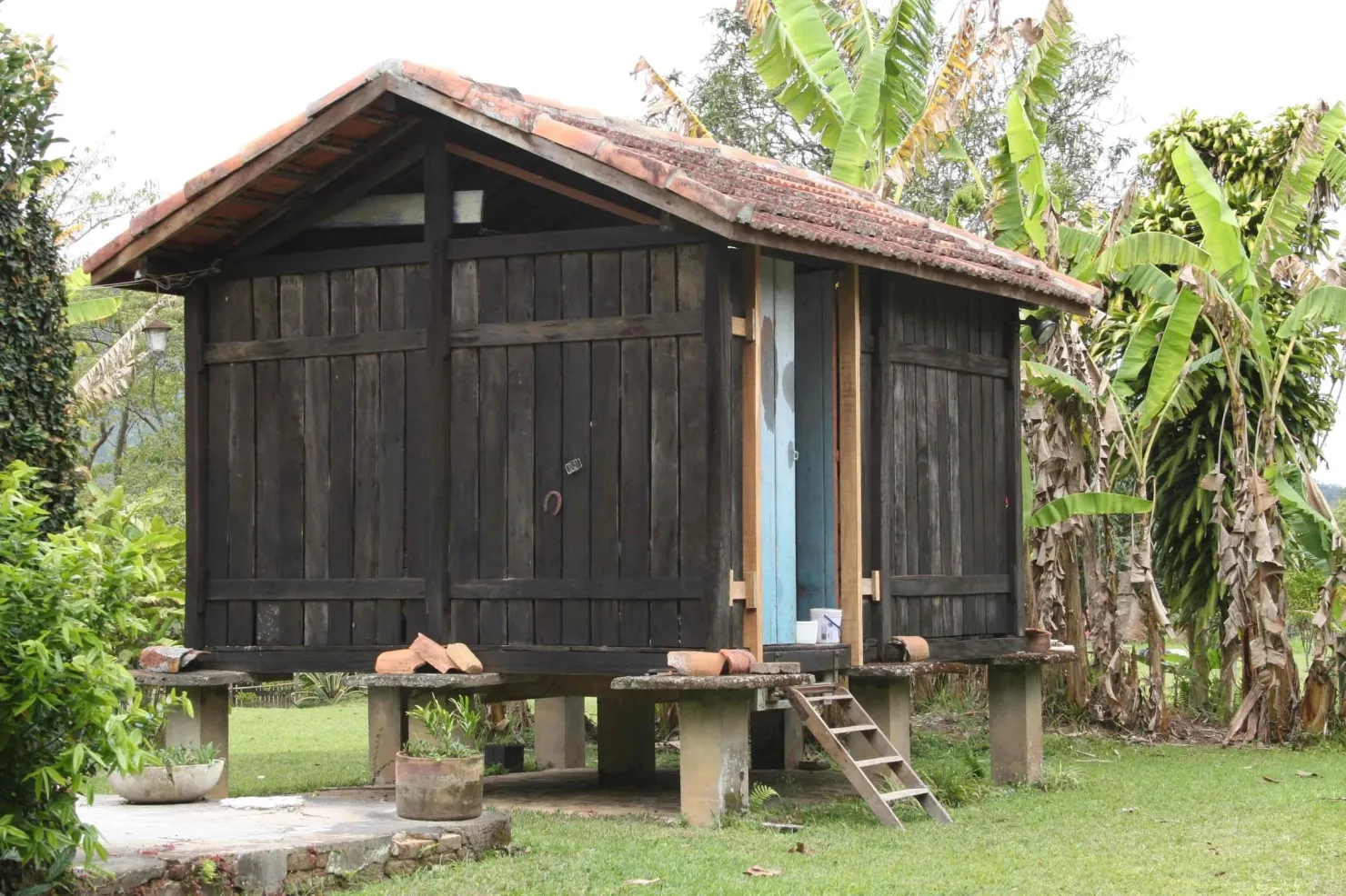 Imagem Sítio à venda 3 Quartos, 49000M², Ribeirão Grande, Pindamonhangaba - SP