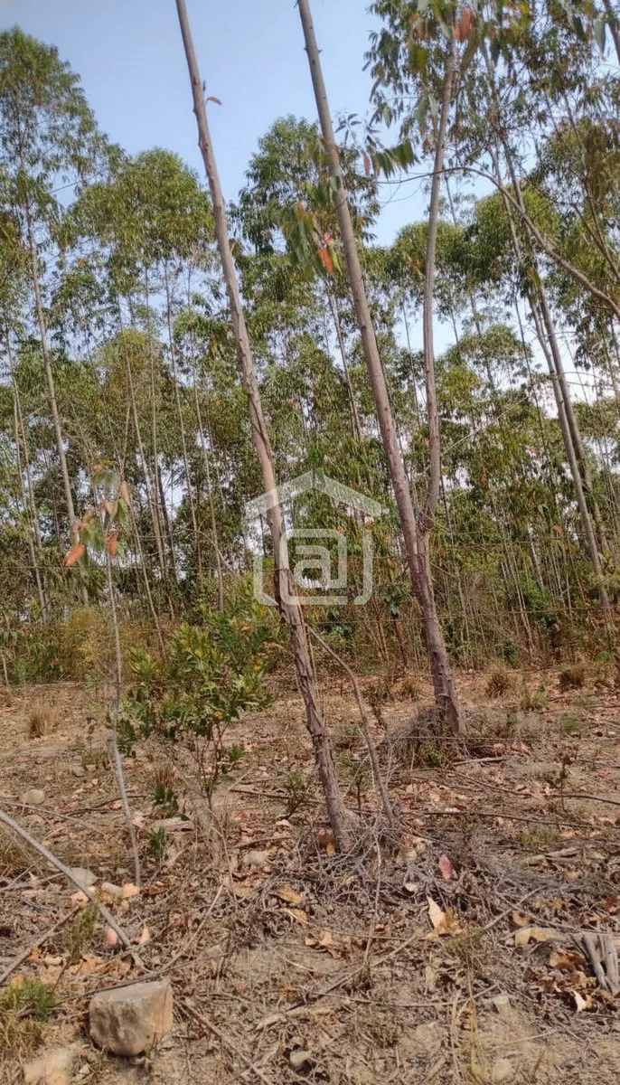 Imagem Sítio 24 m² à venda em Pocinhos do Rio Verde, Caldas