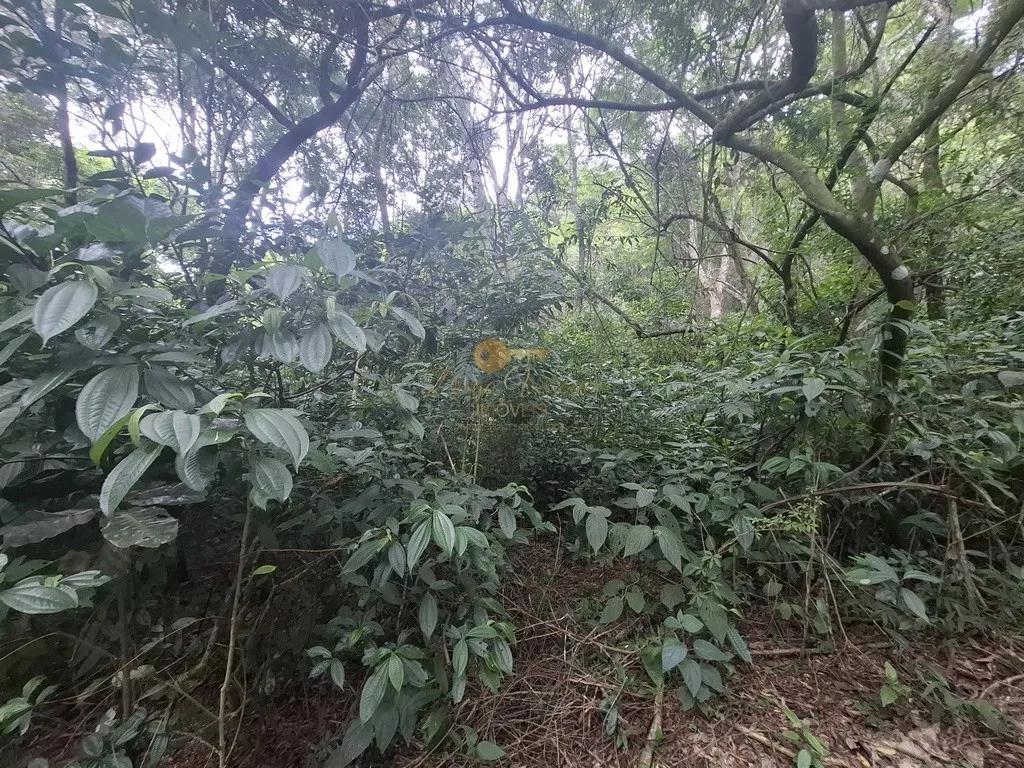 Imagem Terreno para Venda em Teresópolis / RJ no bairro Córrego das Pedras