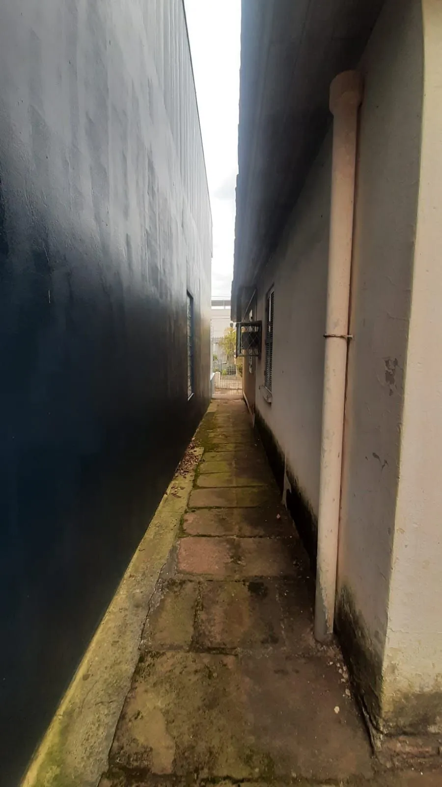 Imagem Terreno em Vila Ipiranga