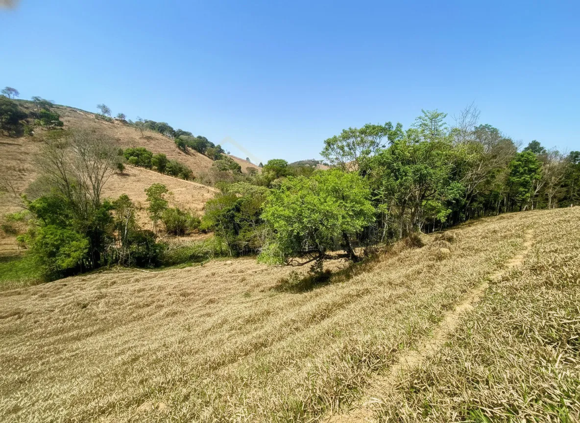 Imagem Sítio 2,42 ha à venda em Correias, Bandeira do Sul