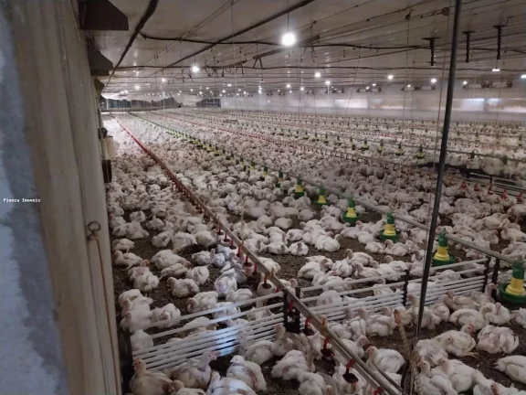 Imagem Granja para Venda em Lindóia do Sul, Interior