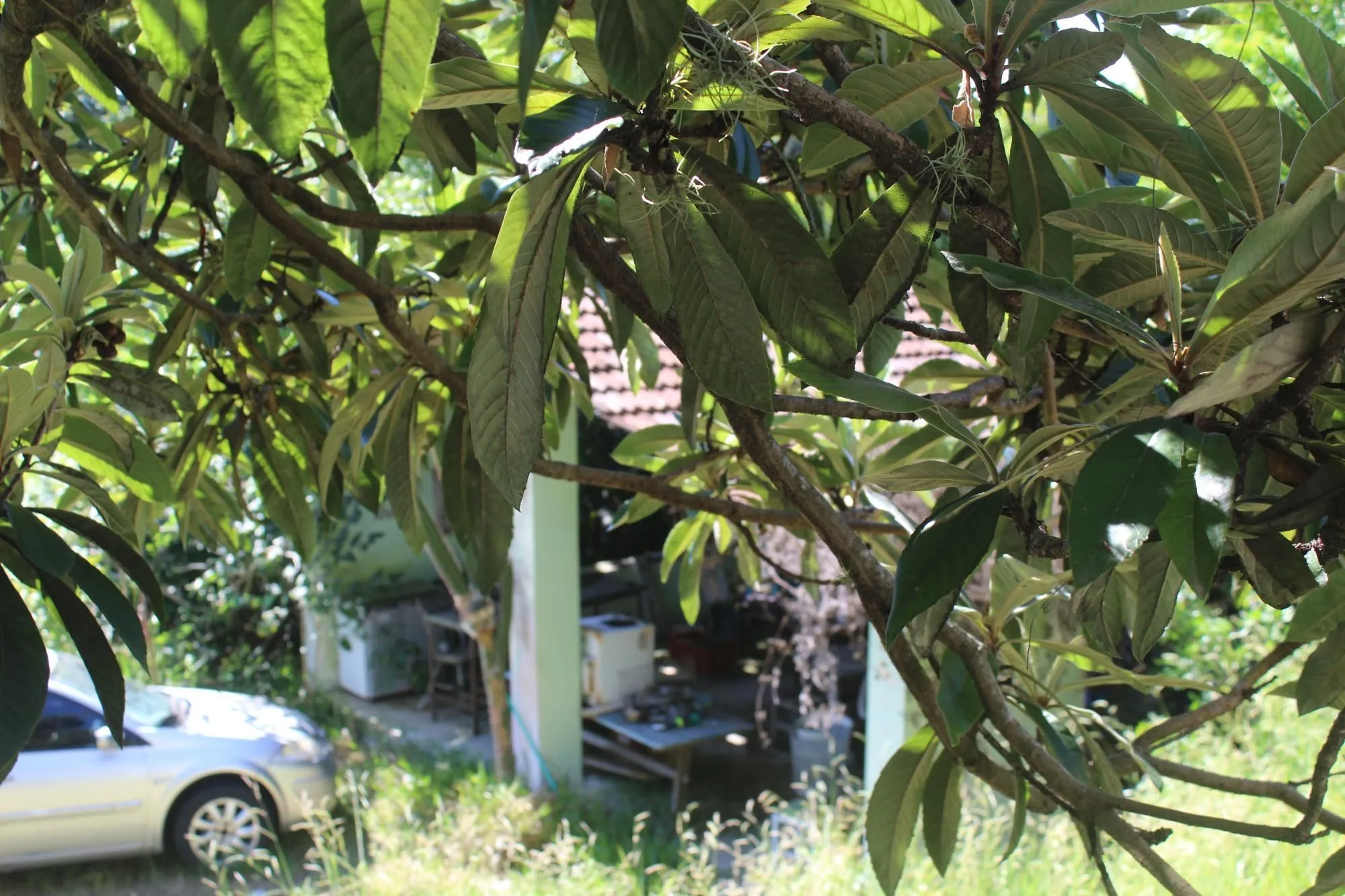 Imagem Imponente casa na Vila Assunção