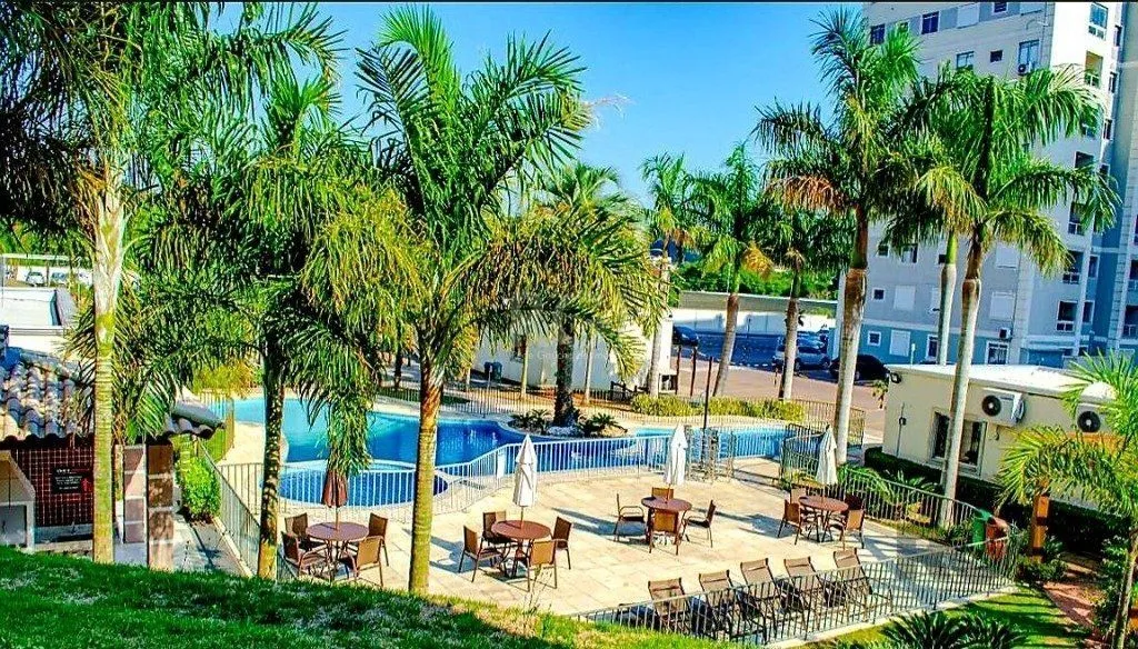 Imagem Apartamento em Morro Santana