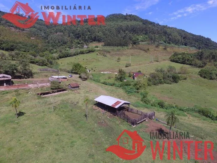 Imagem Fazenda de 61 hectares na cidade de Linha Nova.