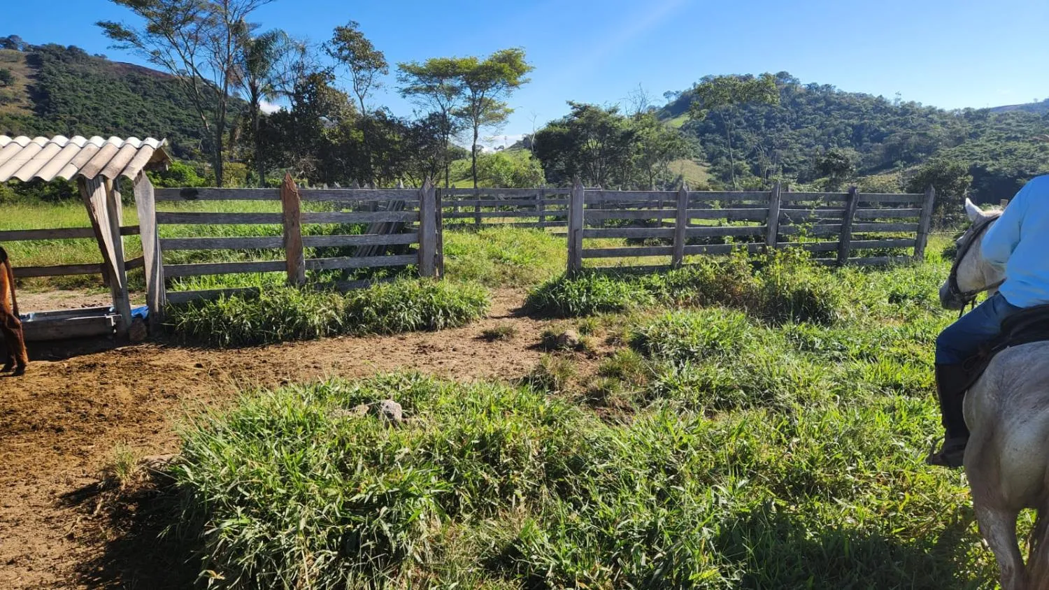 Imagem Vende-se excelente terreno em Bonfim/MG com Área total de 23 hectares, toda formada