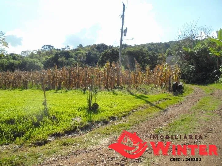 Imagem Bela chácara com 15 hectares no Morro Gaúcho, Vale Real.