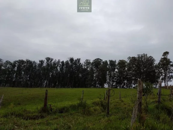 Imagem Terreno, à venda em Socorro