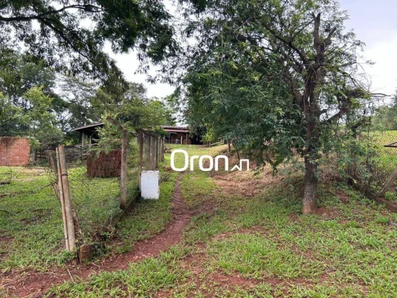 Imagem Chácara com 3 dormitórios à venda, 12000 m² por R$ 650.000,00 - Zona Rural - Nova Veneza/GO