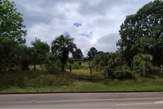 Imagem ADMDTM 1354 Lote 612481080-23 - Terreno à venda no bairro Aberta dos Morros - Porto Alegre/RS