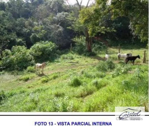 Imagem Terreno à venda, 61237 m² - Centreville - Cotia/SP