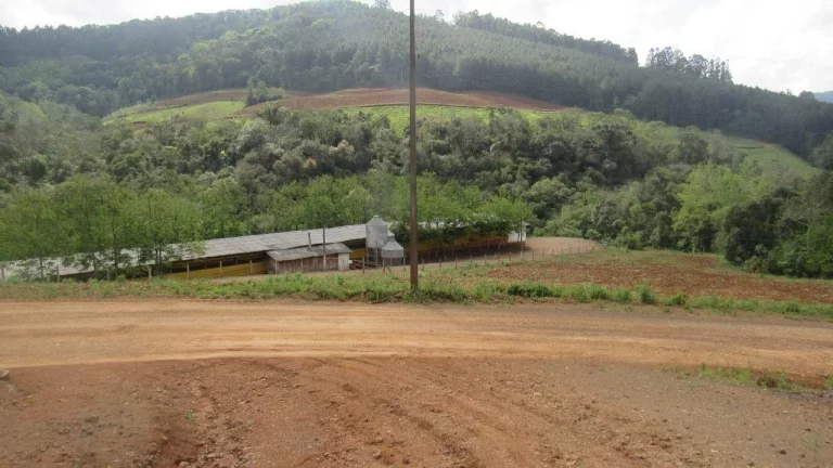 Imagem Área Agrícola para Venda em Lindóia do Sul, Interior