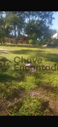 Imagem Casas / Chácara na cidade de Buritama