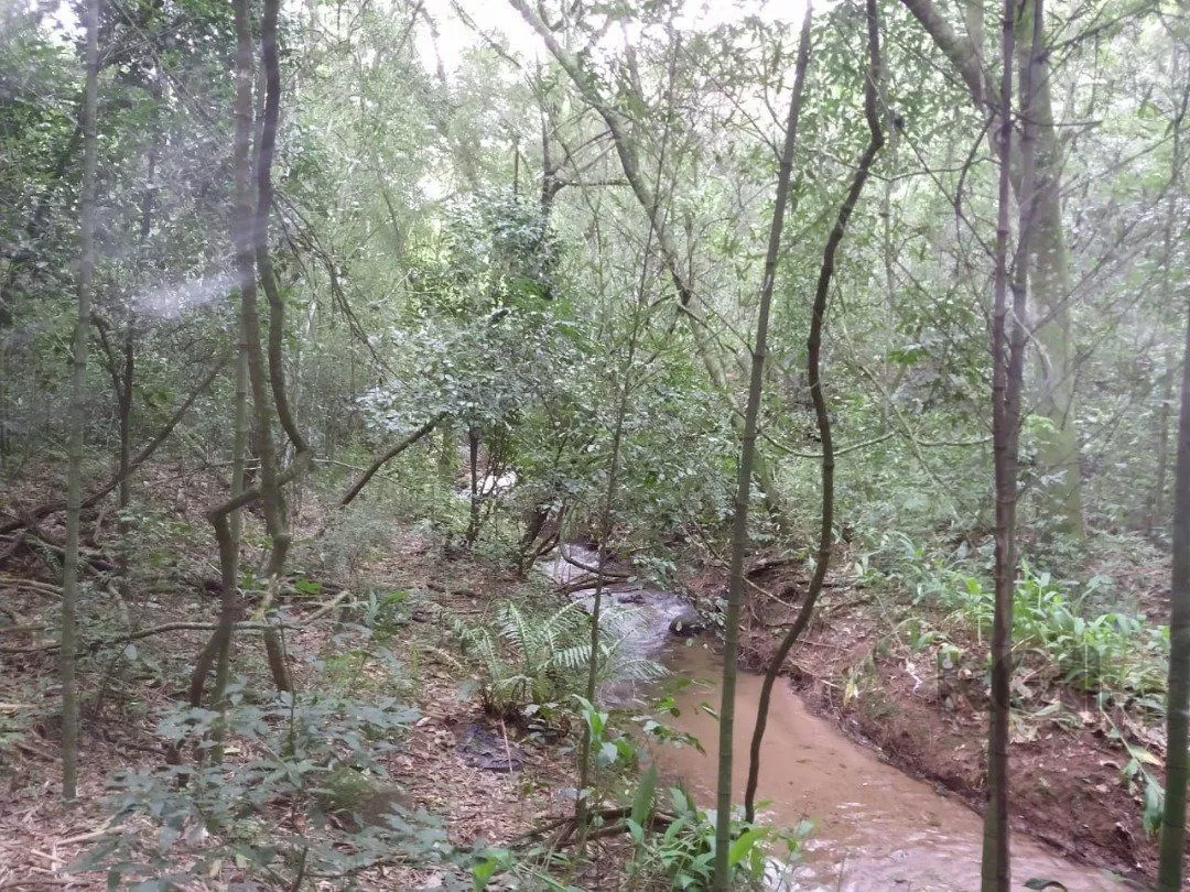 Imagem Área 4,69ha | Bairro Belém Velho