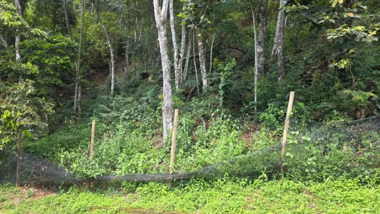 Imagem Terreno para Venda em Teresópolis / RJ no bairro Golfe