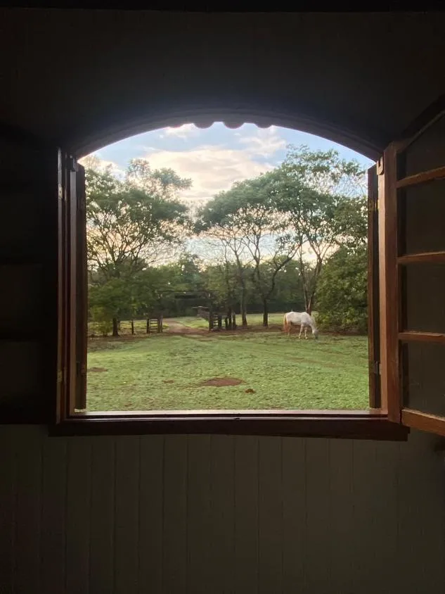 Imagem FAZENDA À VENDA EM FELIXLÂNDIA/MG | 105 HECTARES