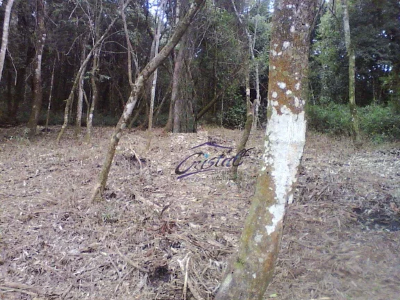 Imagem Terreno em condomínio com 1600m²