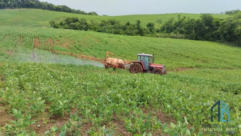 Imagem Fazenda com 57 alqueires (plantando 46) Solo roxo alta fertilidade, Engenheiro Beltrão PR
