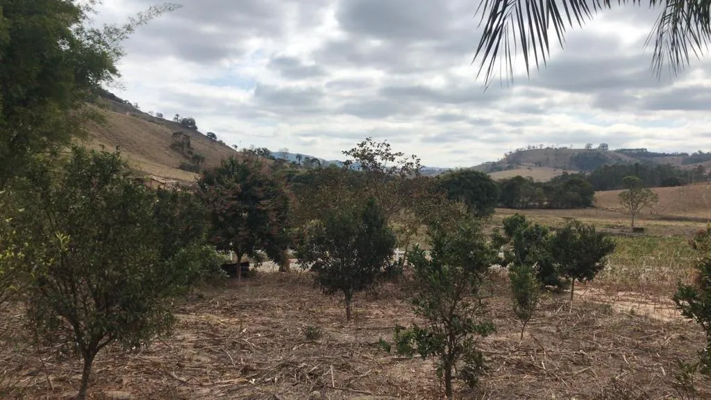 Imagem Sítio Maravilhoso à Venda em Bonfim/MG, com 9 hectares de terra