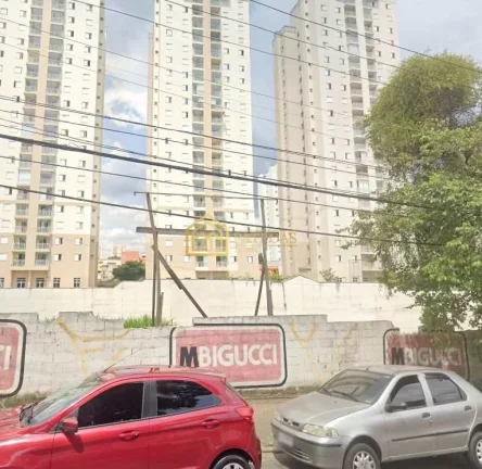 Imagem Terreno Padrão