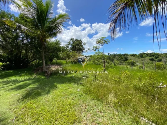 Imagem SITIO RURAL em SANTA CRUZ CABRÁLIA - BA, BR 367