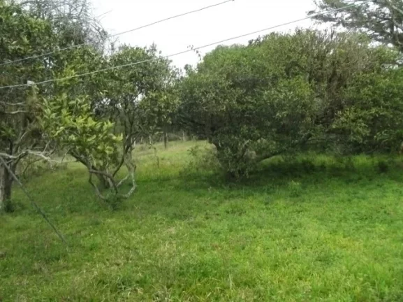 Imagem Sitio Rural com 10.8 hectares, Aguadas, Costa do Oveiro, Viamão/RS