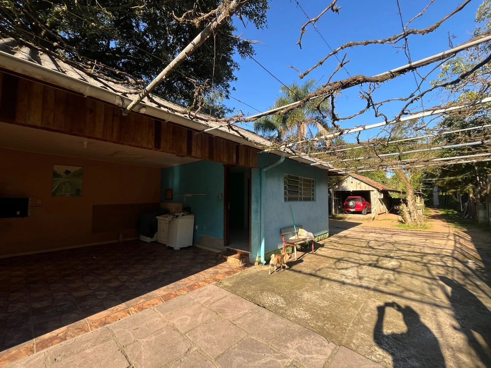 Imagem Terreno Amplo com 3 Casas - Vila Nova, Porto Alegre