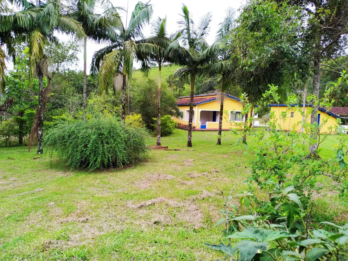 Imagem Chácara à venda 4 Quartos, 1 Suite, 1282600M², Zona Rural, Pindamonhangaba - SP