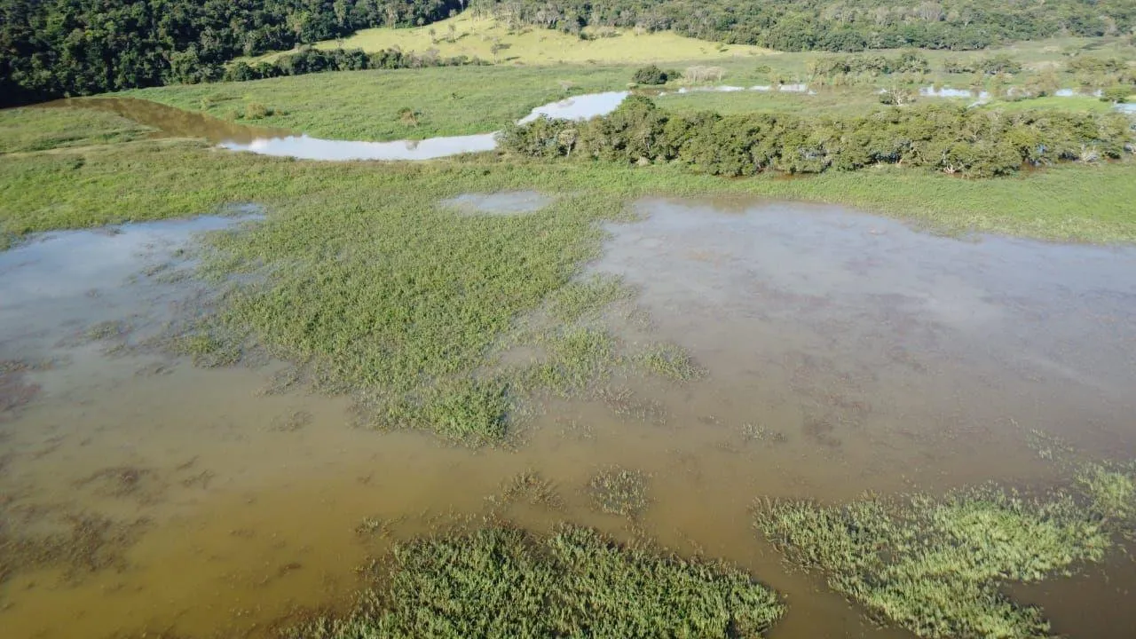 Imagem Fazendinha à Venda em Cláudio/MG 63 Hectares de Terra