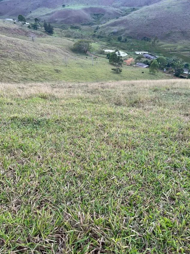 Imagem Terreno à Venda em São Domingos do Prata/MG com 25,5 hectares de terra