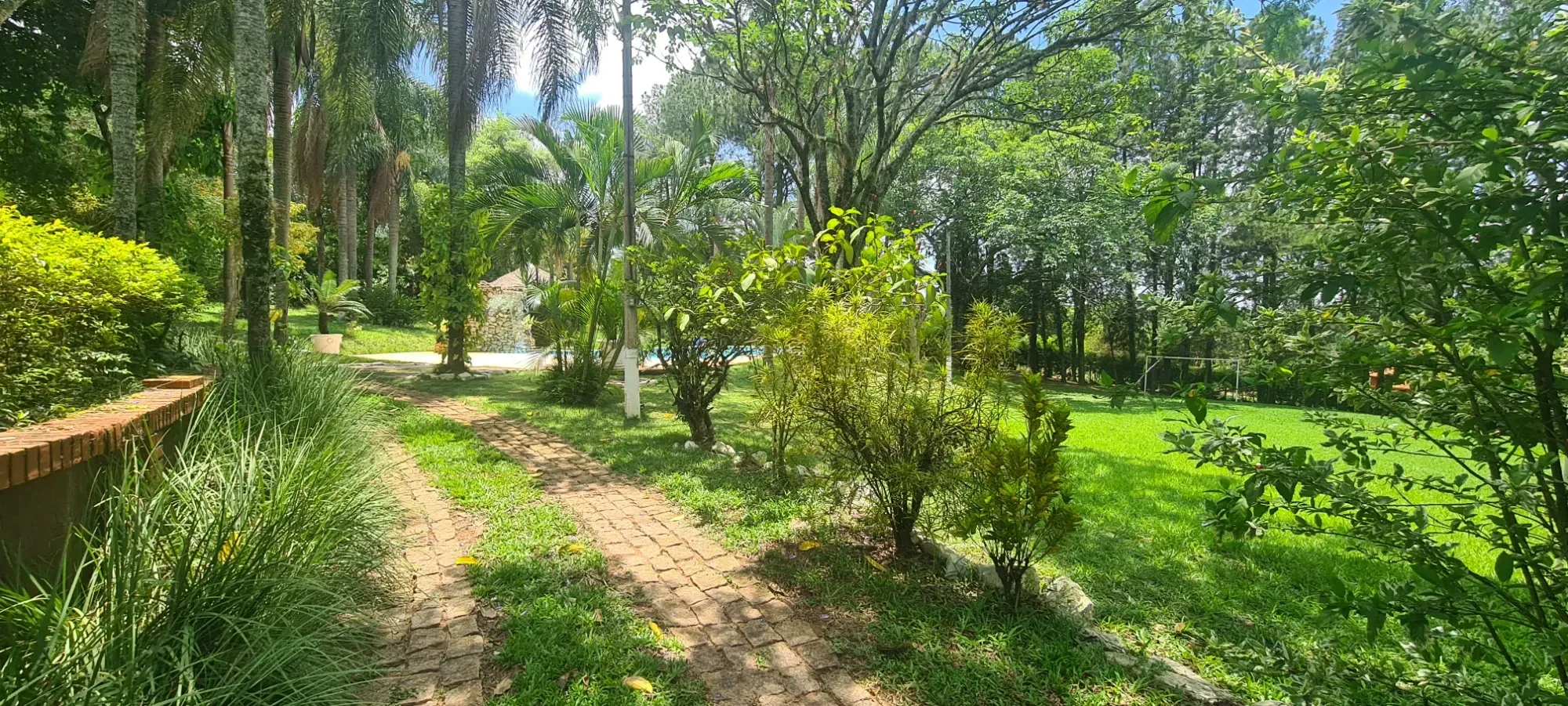 Foto do imóvel: Chácara com 3 Quartos à Venda, 367 m² em Área Rural de Cesário Lange - Cesário Lange